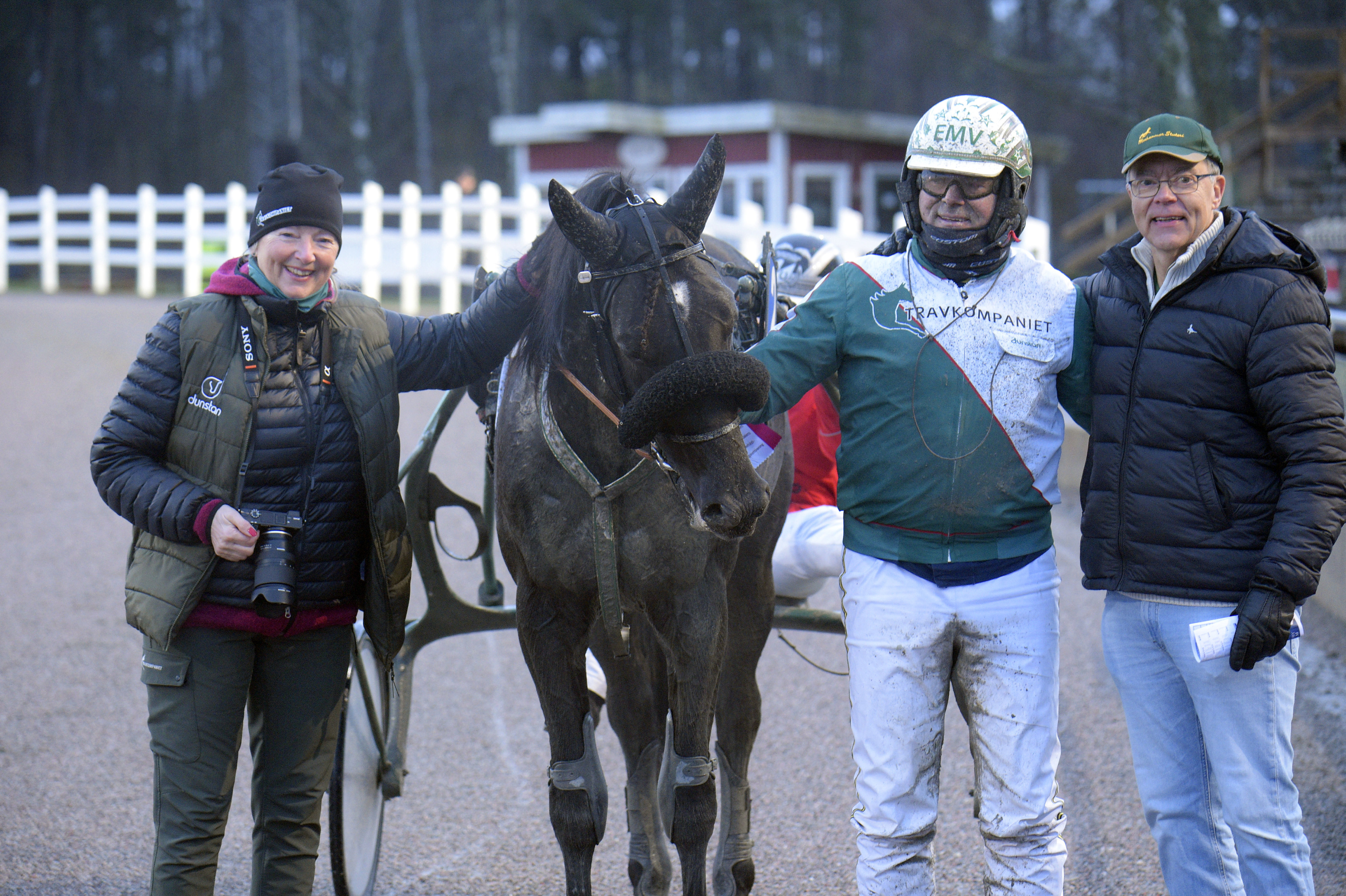 Home Safe med Conrad Lugauer efter stallets senaste seger. I morgon onsdag 14 januari blir han &aring;rets f&ouml;rsta starth&auml;st och f&aring;r chansen att inleda 2026-&aring;rs segermarsch. Foto: ALN Pressbild